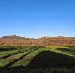 A grassy field with shadows of trees and hills in the background at Bryn Moelyn Cottage Yr Efail near Morfa Nefyn