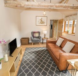 A living room with a brown leather sofa a patterned rug a gray armchair a wooden cabinet with a television and a potted orchid at The Old Piggery in Defford