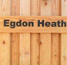 A wooden sign with the text Egdon Heath on a wooden background at Egdon Heath in Nottington near Weymouth