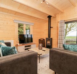 A living room with two sofas a coffee table a TV and a wood stove at Howgill Lodge in Gatebeck near Kirkby Lonsdale