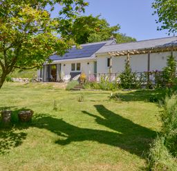A garden with a tree and a lawn in front of a house with solar panels and outdoor chairs at Bluebell Cottage in Mary Tavy