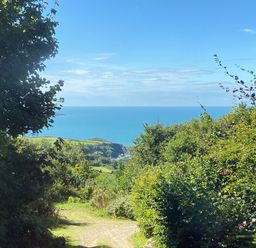 A coastal view with green bushes and trees leading to the sea at Pen y Mynydd in Newport Pembrokeshire