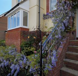 An outdoor staircase with purple flowering vines on the railing leading to a blue door at Jurassic Sea View in Lyme Regis