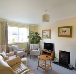A living room with armchairs a sofa a television and a fireplace at Woody View in Colyton