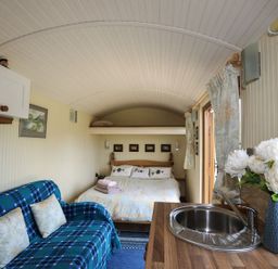 A small room with a blue patterned sofa, a bed with pillows and folded towels, a kitchen sink, and a vase with white flowers at Llety'r Bugail 1 in Llanrug