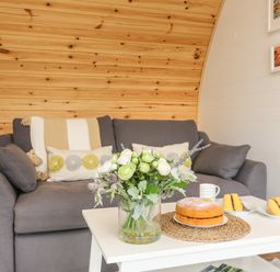 A gray sofa with cushions and a striped blanket in a wooden room with a white coffee table holding a vase of flowers and a cake at Primrose in Seaton near Hornsea