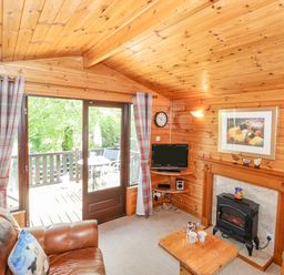 A wooden cabin living room with a leather sofa coffee table fireplace and a TV near a glass door leading to a balcony at Robin's Nest Number 12 Burnside Park near Keswick