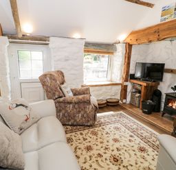 A living room with a sofa a patterned armchair a TV and a wood burning stove at Gull Cottage in Hermon near Newborough