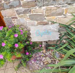 A wooden sign with Oyster next to pink flowers and green plants by a stone wall at Oyster Atlantic Highway near Bude