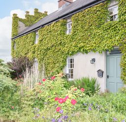 A house with ivy growing on the walls a light blue door and a garden with flowers and plants at Scarvagh House in Scarva near Loughbrickland