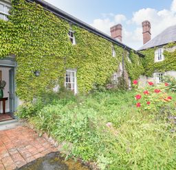 The exterior of a house with ivy covering the walls and a garden with red flowers at Scarvagh House in Scarva near Loughbrickland
