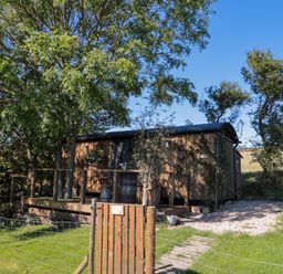 A small wooden cabin surrounded by trees with a fenced grassy area and a gravel path at The Shepherd's Rest in Robin Hood's Bay