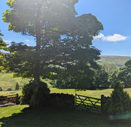 A scenic outdoor view with trees a wooden gate grass and hills at Bothy in Nenthall near Alston