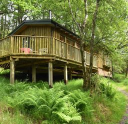 A wooden cabin on stilts with a wraparound deck surrounded by trees and ferns at Chapel House in Torridon