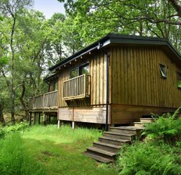 A wooden cabin with stairs and a deck surrounded by trees and greenery at Chapel House in Torridon