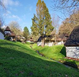 A small stream running through a grassy area with houses and trees at No 51 Valley Lodges in Honicombe Manor near Gunnislake