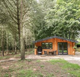 A wooden cabin with outdoor furniture surrounded by trees and a wooden fence at Lake View Lodge in Wykeham near East Ayton