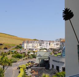 View of buildings and palm trees at 11 Cove View Apartments Ilfracombe