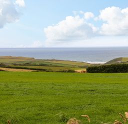A landscape with green fields and hedges overlooking the sea at Northcott Hut Stibb near Bude