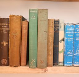 A wooden shelf with a collection of old books about moths and insects at Warren Cottage in Bures near Assington