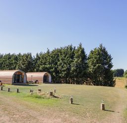 Two wooden cabins on grass near a line of trees in a rural area at Ailsa Craig in Hillhampton Great Witley