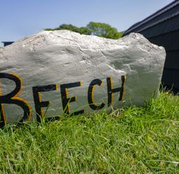A rock with the word Beech painted on it in an outdoor area at Beech in Ulverston