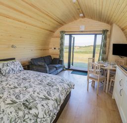 A compact wooden room with a bed sofa dining table kitchen and glass doors opening to a field at Tamina in Hillhampton Great Witley