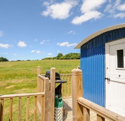 A small blue corrugated metal structure with a white door on a wooden deck overlooking a grassy field with trees and a horse in the distance at Shepherds Hut in Boconnoc near Lostwithiel
