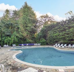 An outdoor swimming pool with white lounge chairs around it surrounded by trees at Lodge 16 in Lanteglos near Camelford