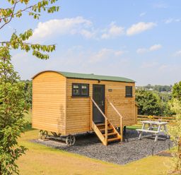 A wooden shepherd hut with steps in a grassy area near a picnic table at Sunflower Sparnon Gate near Illogan
