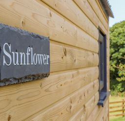 A wooden exterior wall with a sign that says Sunflower near a window and trees at Sunflower Sparnon Gate near Illogan
