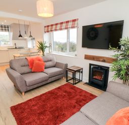 A living room with two grey sofas a red rug and a wall mounted tv at 4 Maypole Green in Fylingthorpe