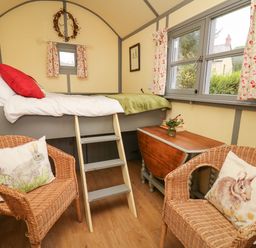 A small room with a loft bed accessed by a wooden ladder two wicker chairs with animal print cushions a foldable wooden table and floral curtains on windows at Brown Hare Shepherds Hut in Llangorse