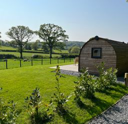 A wooden pod on a lawn with plants and trees in the background at Yr Onnen in Bontuchel near Ruthin