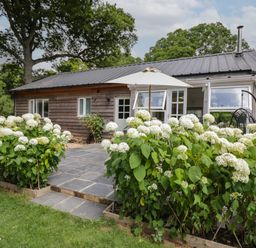 A wooden house with a tiled patio and white flowers in the garden at The Roost in Cheriton near Alresford
