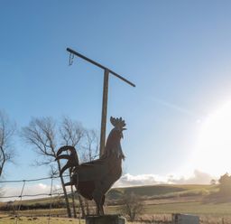 A metal rooster sculpture on a post with a wire fence and trees in a field at Flodden in Crookham near Cornhill-On-Tweed