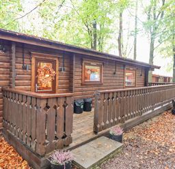 A wooden cabin with a decorated door and railing surrounded by trees and fallen leaves at Leafy Hollow Lodge in Louth