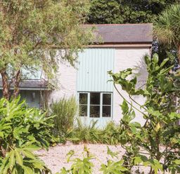 A garden with leafy plants and a gravel path in front of a white building with light blue shutters at Penpoll in Falmouth