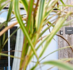 A wooden exterior wall with a glass door a curtain a doorbell and a sign that says Sennen partially obscured by green plants at Sennen in Mawnan Smith Near Falmouth
