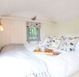 A small bedroom with white wooden walls and ceiling a bed with patterned pillows and a tray with breakfast items at Shepherds Pightle Hollesley