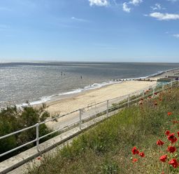 A beach with sand and water next to a grassy area with red flowers and a white railing at St Marys View Southwold