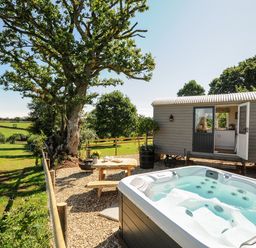 A hot tub and picnic table next to a small wooden cabin in a fenced outdoor area with trees at Orchard Retreat in East Worlington near Witheridge