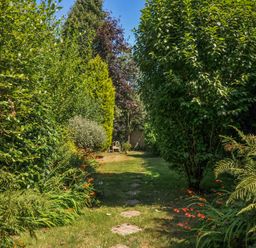 A pathway through greenery with a bench in the garden at The Mews in Blisland