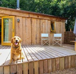 A wooden building with a dog on the deck at Brambly Cabin in Crediton