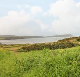 A coastline with hills grass and bushes overlooking a beach and sea at Ty Rhydd in Newport Pembrokeshire