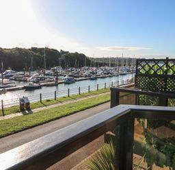 A view of boats docked at a marina with a railing and plants in the foreground at Yacht Haven View in Neyland