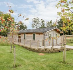 A wooden cabin with a deck surrounded by small trees and grass at 21 Meadow Retreat in Dobwalls