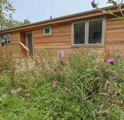 A wooden cabin with windows and a door surrounded by tall grass and wildflowers at 18 Meadow Retreat in Dobwalls