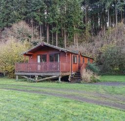 A wooden cabin on stilts surrounded by grass and trees at Dartmoor Retreat Lodge Clifford Bridge near Moretonhampstead