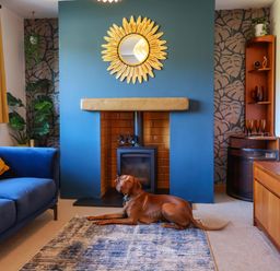 A living room with a fireplace and a dog at Hillsview in Combe Martin